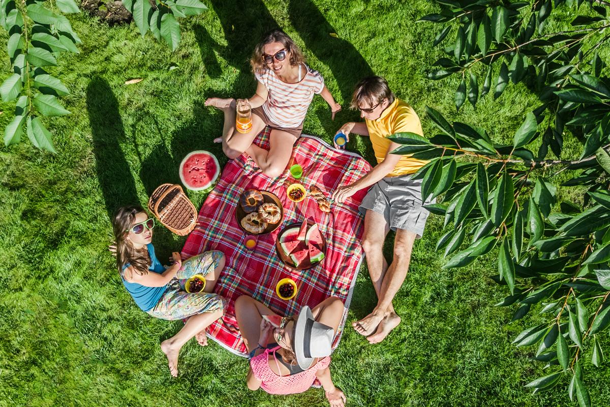 Ground of individuals sitting on a red checker blankets having a picnic